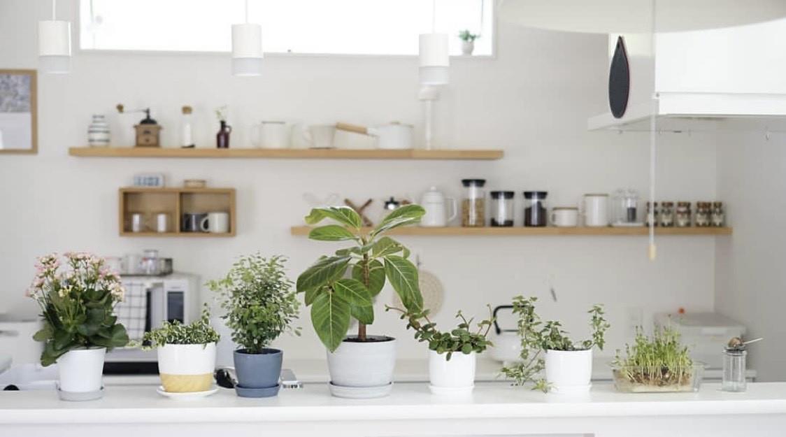 持家有方的日本太太，把家收拾得井然有序，治愈了强迫症！学习了