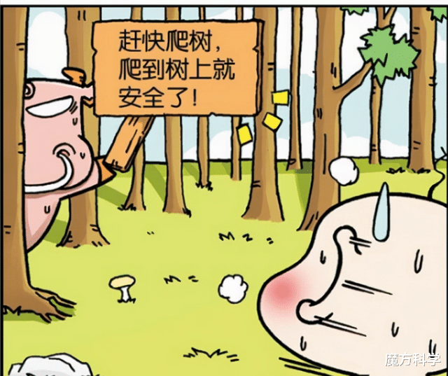 野猪袭人何时休?黑龙江又现一起,为何越保护越猖狂?遇到如何躲