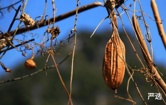 严选|40-45岁开始进入“衰老期”，常吃4种食物，加1运动或会延缓衰老