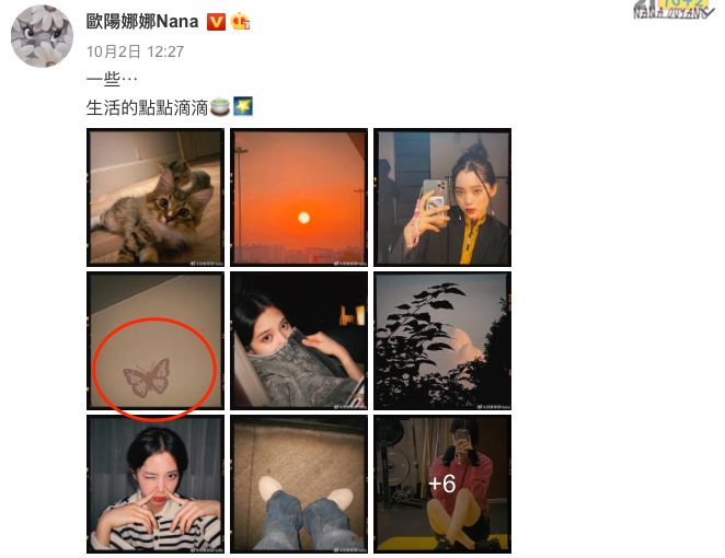 欧阳娜娜|不是吧，他俩这是偷偷恋爱了？