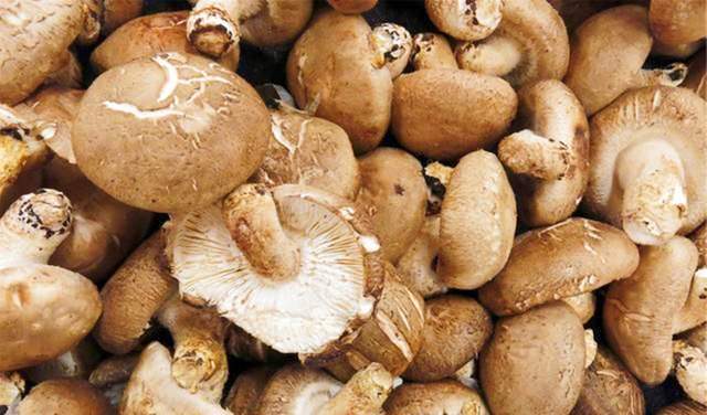 才发现,“香菇不要乱吃”有禁忌,菜农教你一个不外传选购诀窍