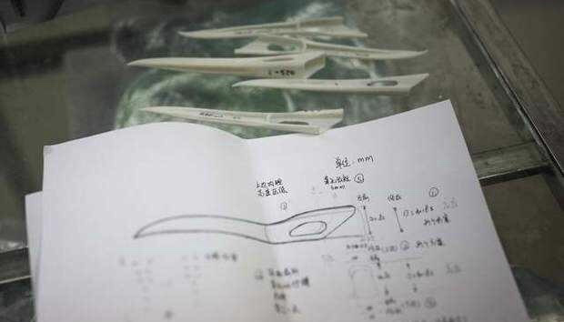 观星居 丹顶鹤不敌对手，被打断喙，工作人员换上钛合金喙，结果无一败绩