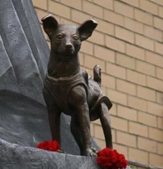 太空 第一只进入太空的狗，结局已注定的死亡之旅，真相也被隐瞒45年