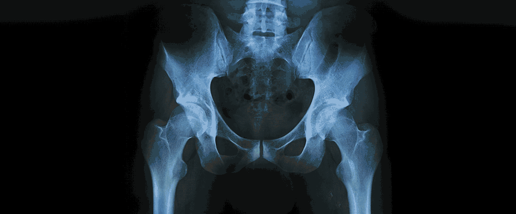 阴茎骨是什么？有什么作用？人类为什么没有呢？