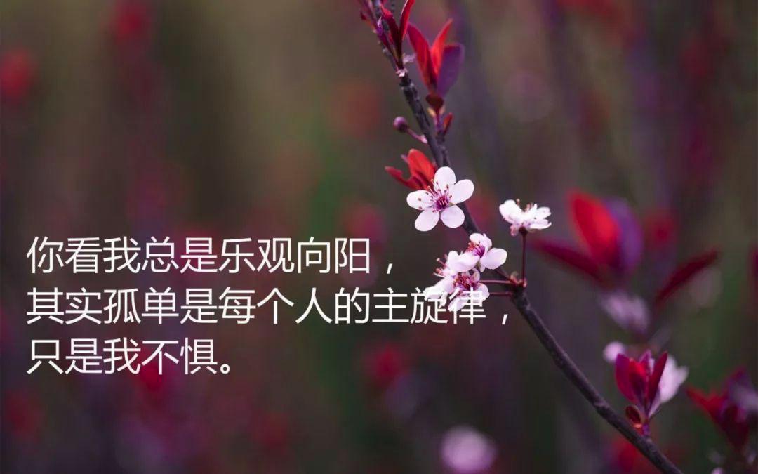 射手座|善于玩转阴谋，却从不主动害人的3个星座，向来实力满满