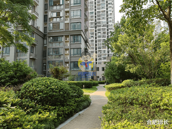 |滨湖二手房天花板，实探46和师范附小双本部的书香门第！