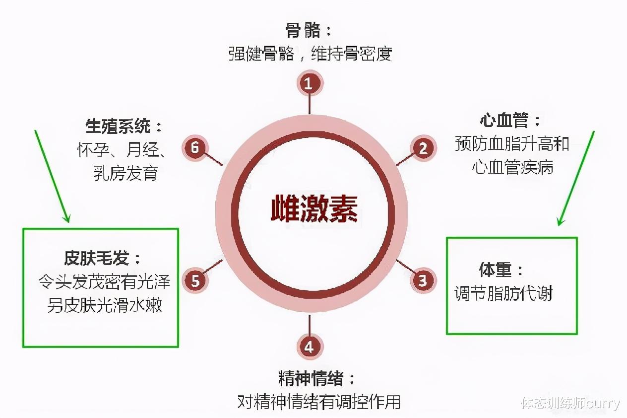 支气管炎|被誉为韩国最美健身达人，这身材让人血脉贲张，女生力量训练真香