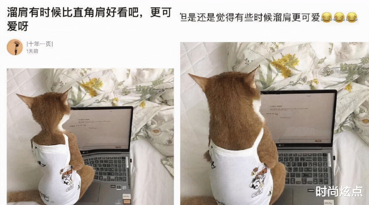 时尚炫点|大兄弟,你为了看礼仪小姐使这样的招数,不觉得羞愧吗