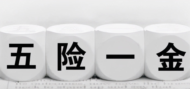 梵恩诗伊宁哥|五险一金要改革?“六险二金”来了,新增的一险一金有什么作用