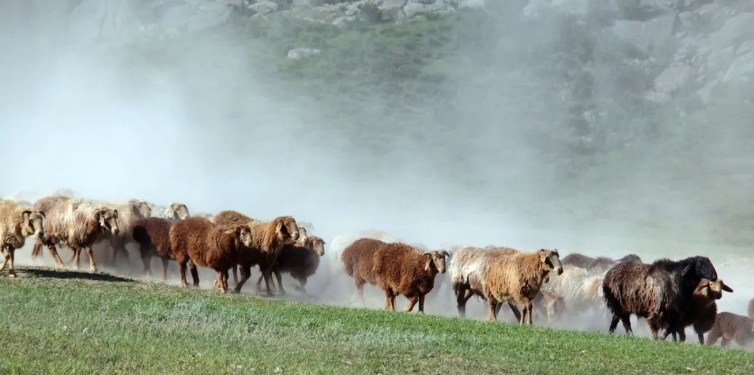 乌鲁木齐 距乌鲁木齐1h，新发现一条荒废半个世纪的绝美天路，虐过独库，美过318！