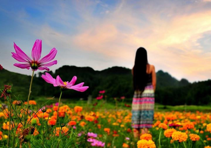 晓东梦伴|这一生，能守住这两条底线，你就赢了