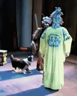 舜网 神评厉害了:给女的一巴掌,连个糖都保护不了以后还指望你保护我?