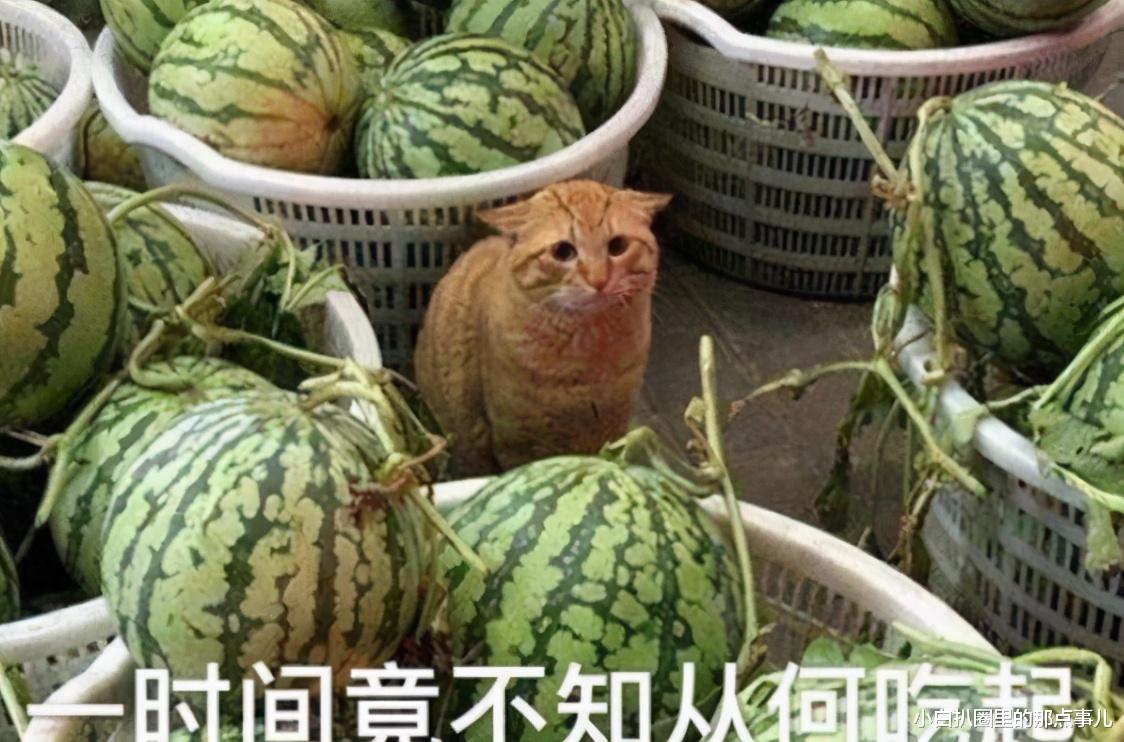 破产|三观尽碎，台湾女艺人蒋萍丈夫婚内出轨岳母，放言一次拿下母女俩