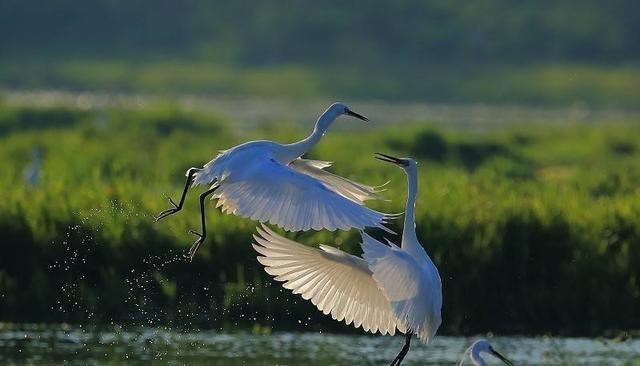 青岛市 陕西最美宜居小城，清幽宁静，秦岭深处的养老福地