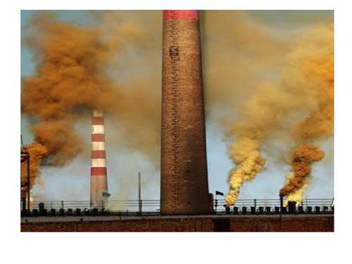 老姚说健康|想要养护肝脏，除了胡萝卜，还可多吃4种养肝食物，肝脏变红润