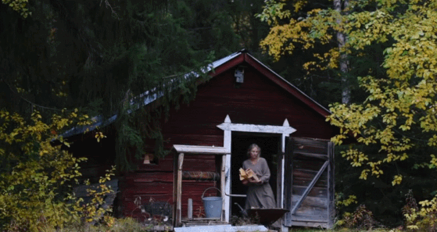 李子柒|李子柒断更5个月后，隐居11年的北欧仙女火了！引500万粉丝围观