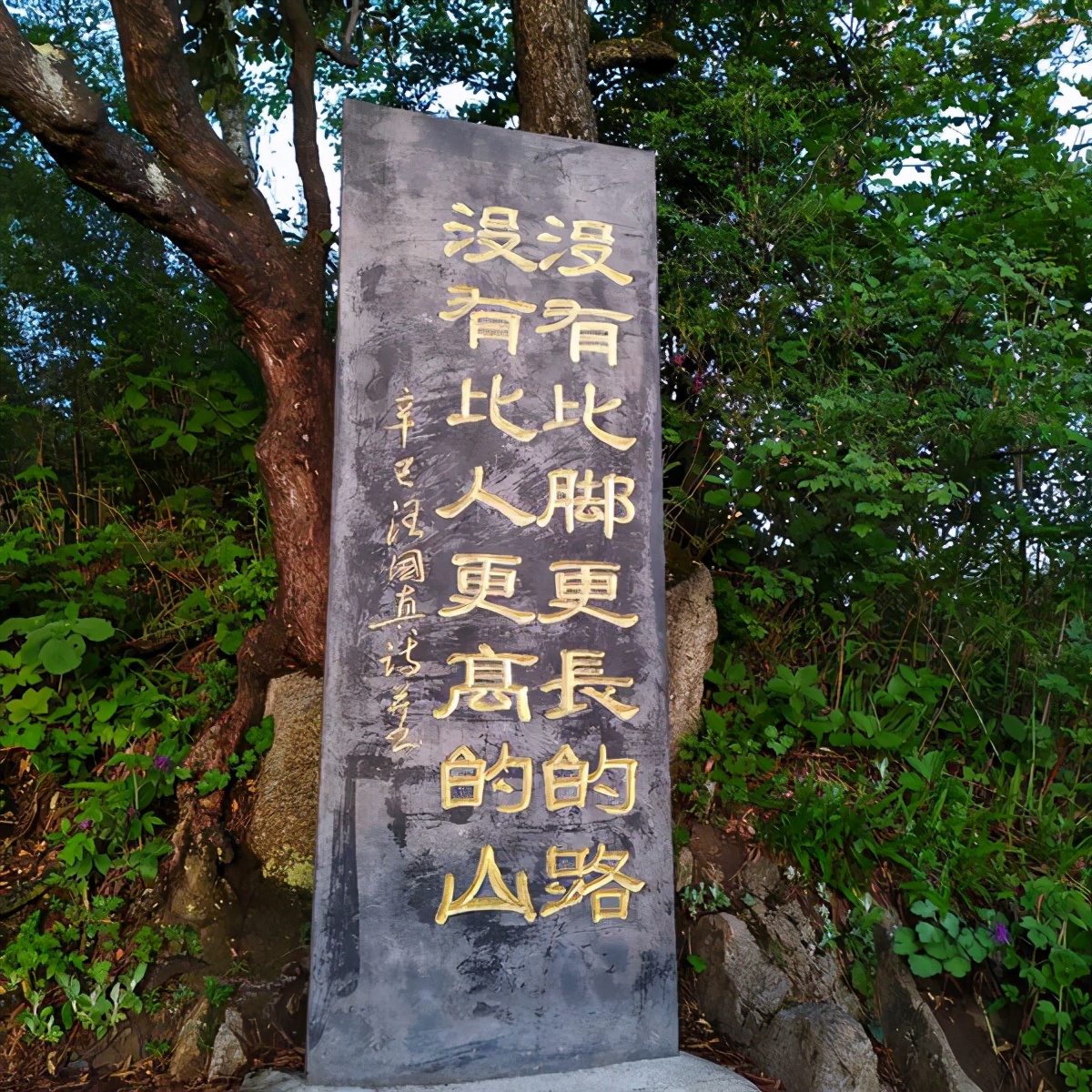 富士康|我，中专生，幸亏在富士康有了稳定工作月入5000，才能养家