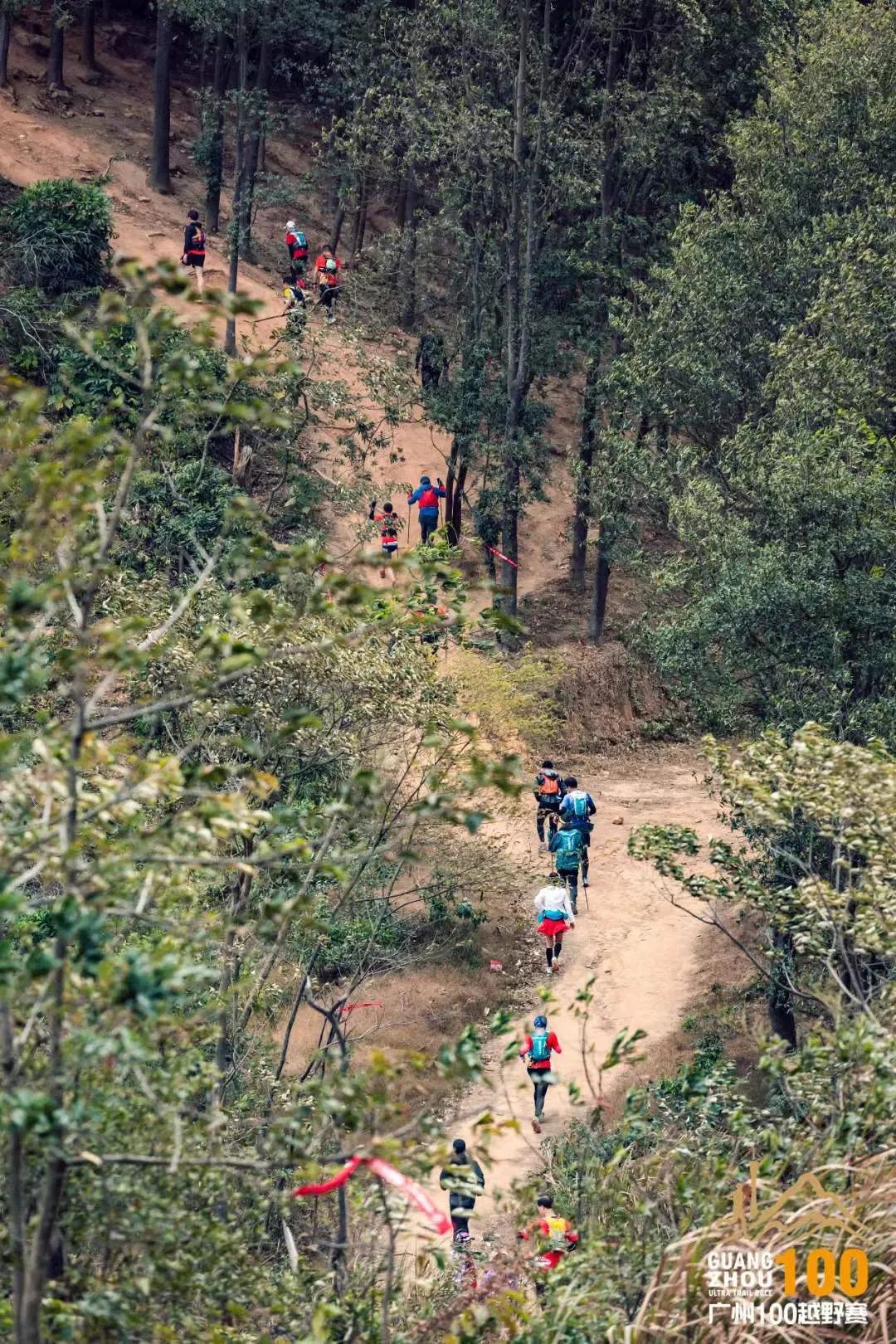 熊猫|你的完赛时间算什么水平？