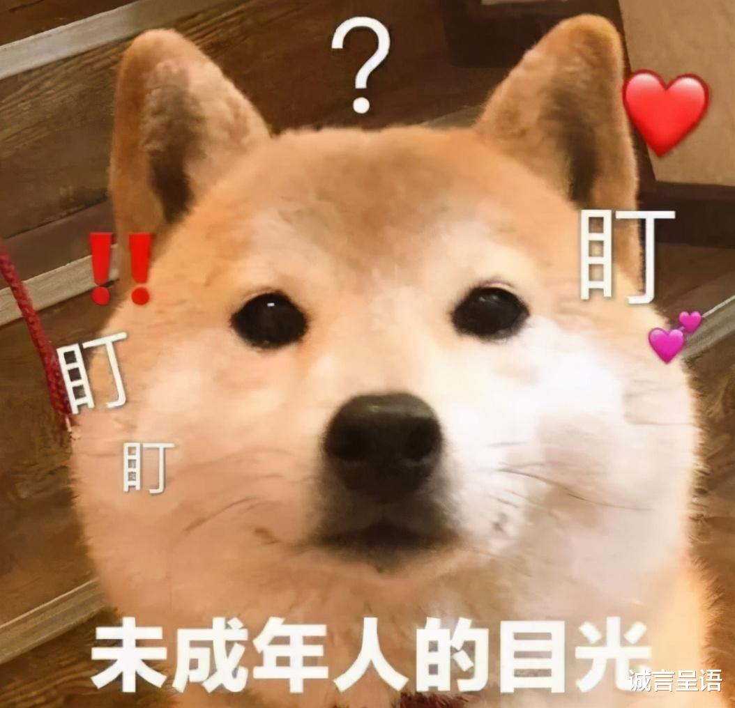 大学|大学毕业生，在你想当“老实人”之前，我劝你先学会“不当个人”