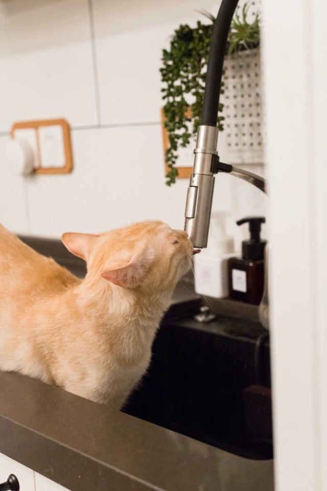 北京姑娘住35㎡老房，改造居然在厨房边洗澡，妈妈看后直接被气跑