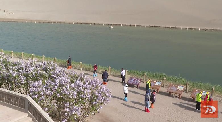 掌上敦煌 月牙泉边丁香花开醉游人