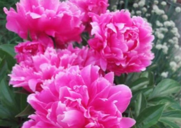 判达说事 3天后，3星座时来运转，苦尽甘来，真爱相遇，余生缔结姻缘