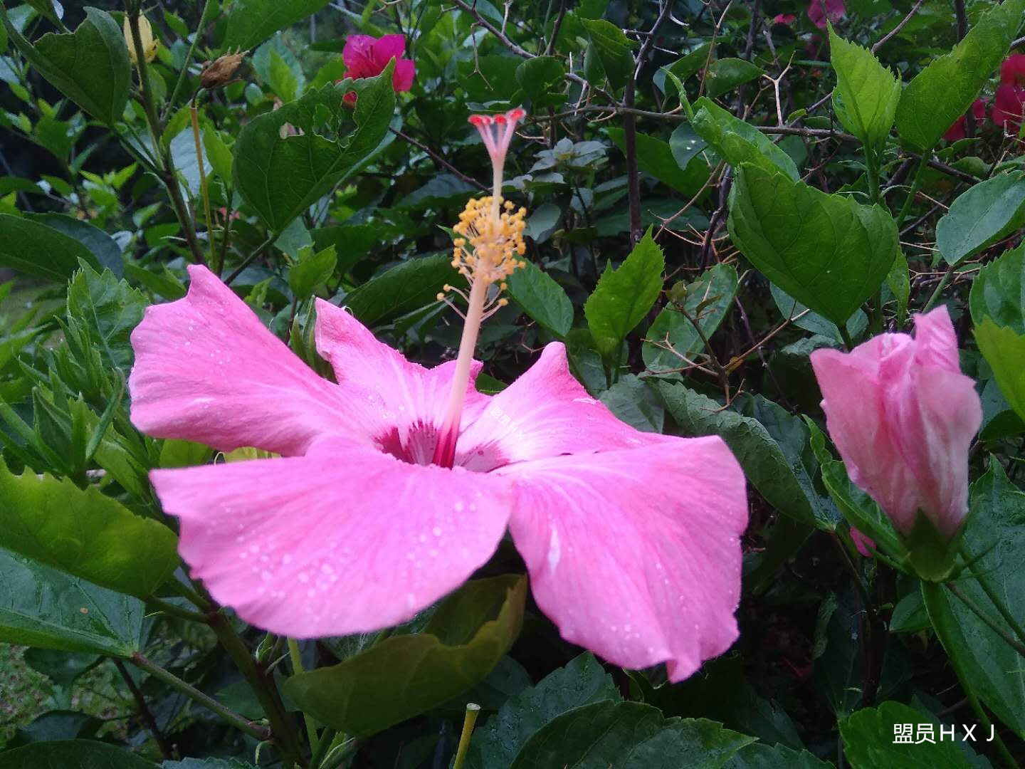 自驾 金沙湾的“五一”