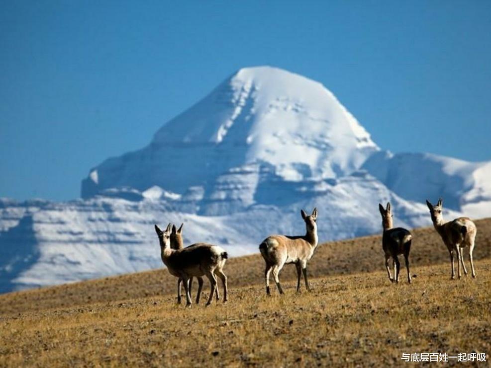 与底层百姓一起呼吸 退休是噩梦的开始，独生女儿的啃老让两位家人倍受折磨