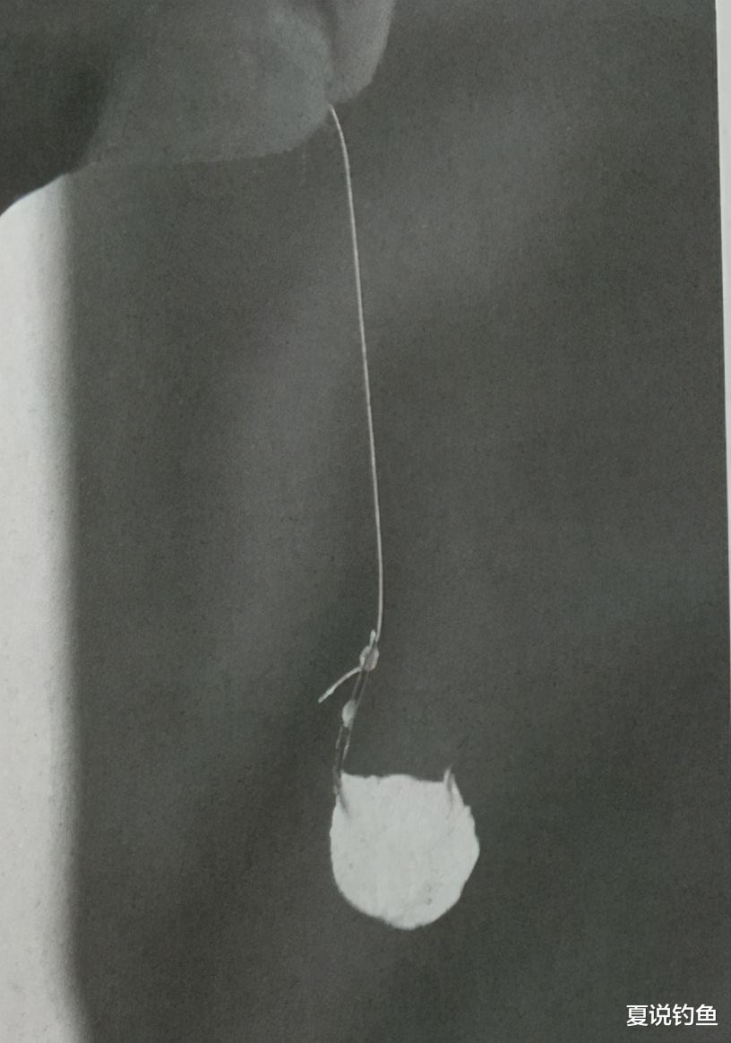 医生|[ 日本鲫鱼钓 ] 冬天宙钓之雾化饵和乌冬面的组合第二篇挂饵方式