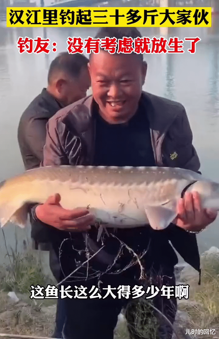 江村|男子钓到“中华鲟”引热议，专家称是外来鲟，其实真是中华鲟？