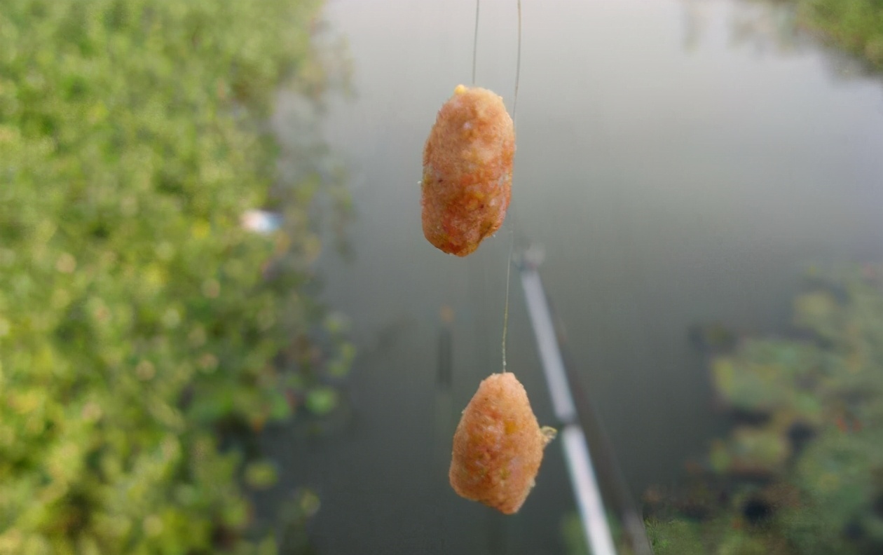 饵料|开出来的拉饵不知道状态如何，试试这个方法，几分钟后就知道好坏