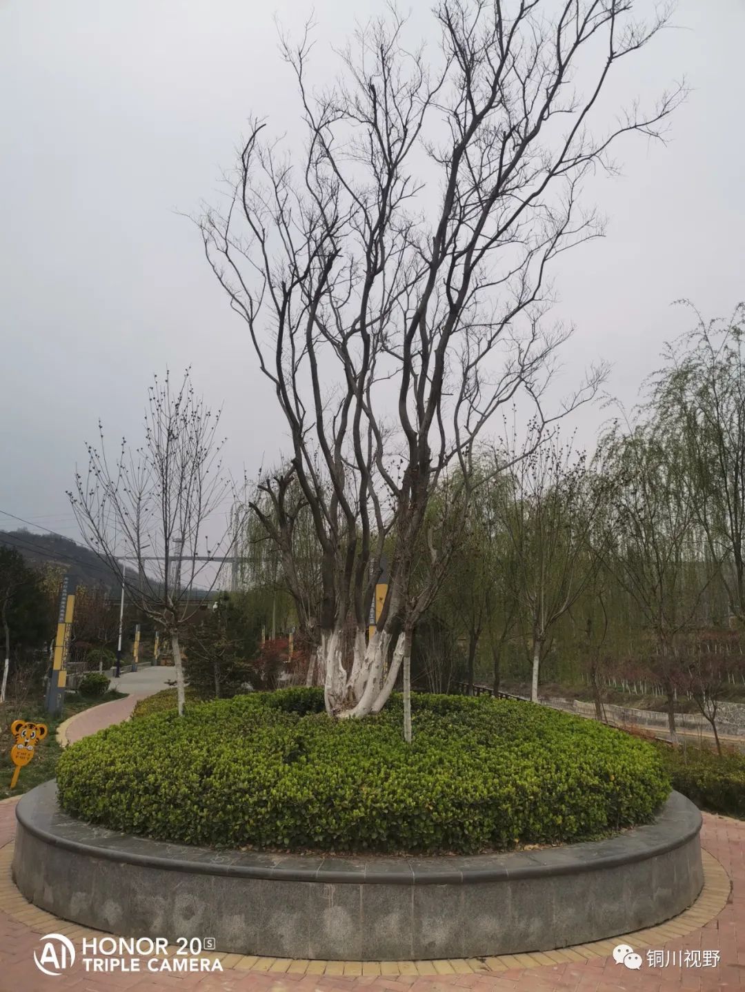 铜川周春辉 铜川王家河小公园的春天