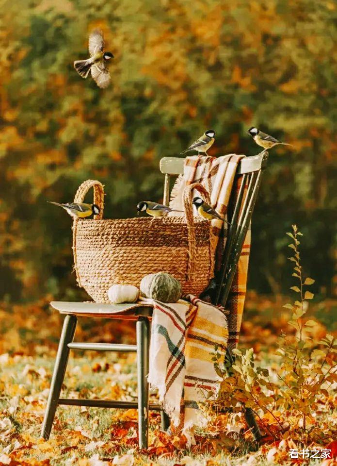 看书之家 情感：写在深秋里的一篇文章