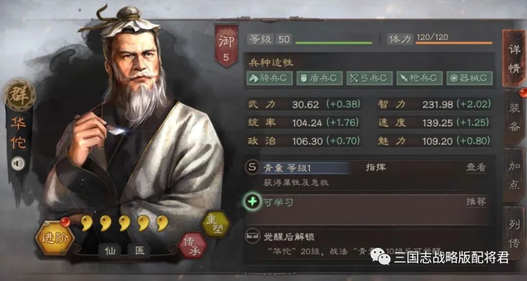 华佗|三国志战略版平民华佗伪蜀枪，魏骑的杀手，低损锤满红!