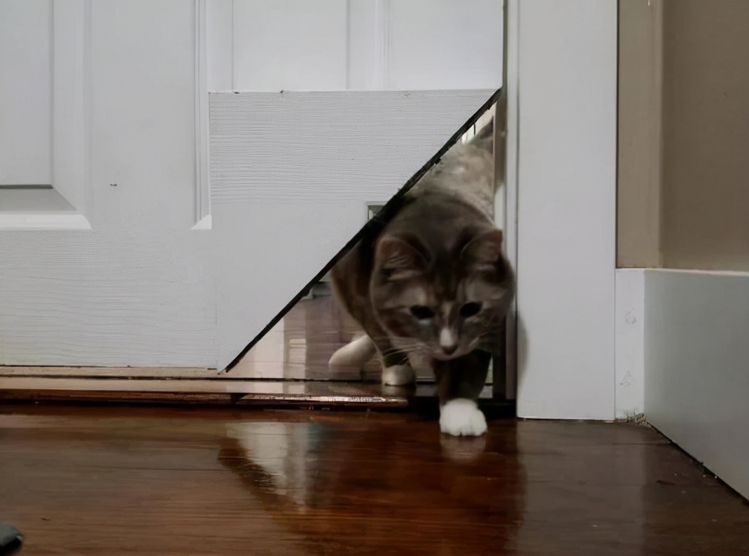 |去表姐家参观，看到这8个“神设计”，我都后悔家里装修早了