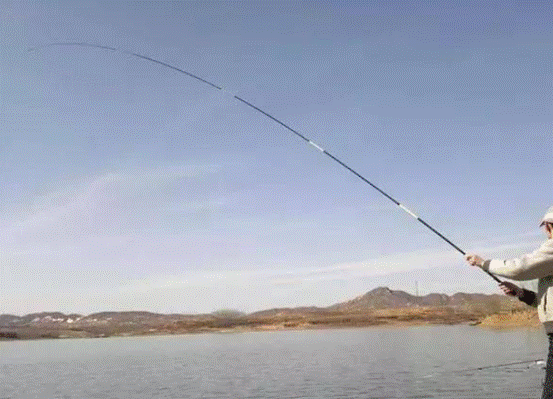 |野钓装备居然是这几样？每一样都不可缺少