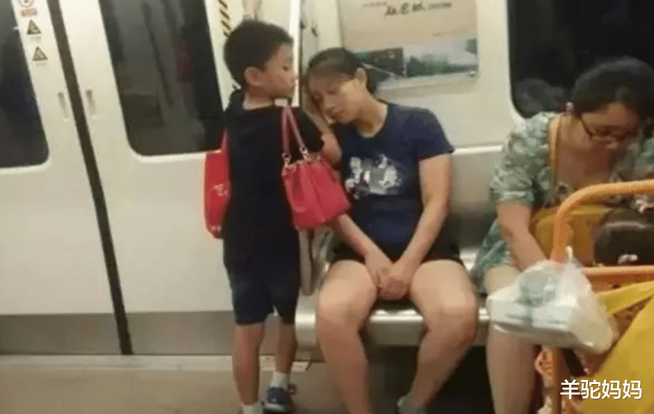 羊驼妈妈|新东方“转型培训父母”辟谣，多数父母不买账，但我却支持转培