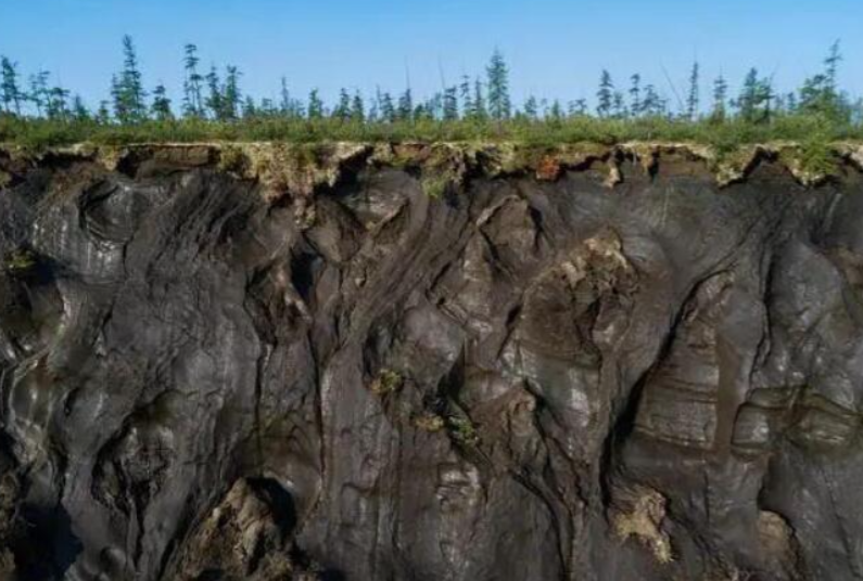 遗骸 北极冻土加速消融，40000万年前遗骸横空出世，人类该清醒了