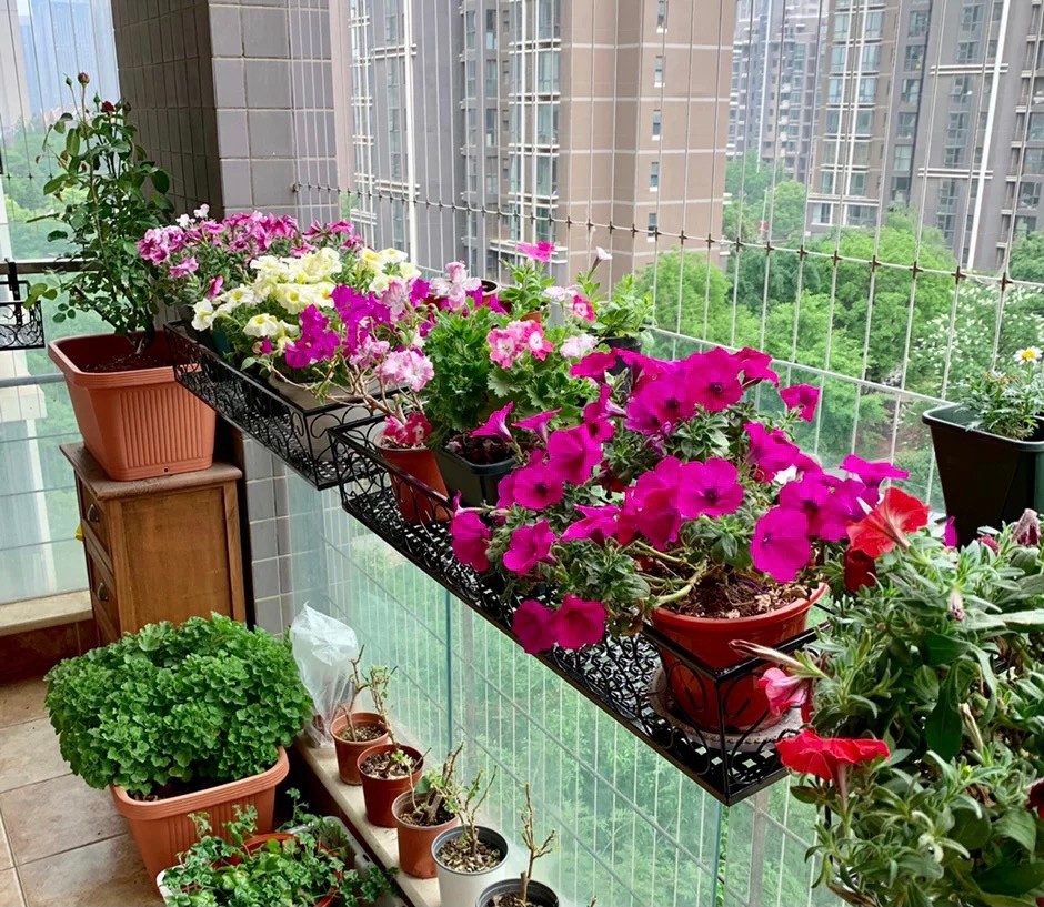 房子住久了才发现,一些“精致”的设计,其实是在交智商税!