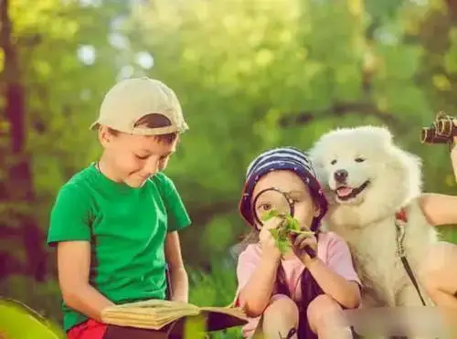 运势|为了孩子，没工作，能否生存？