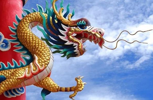 阿尔茨海默病 长得最像“龙”的生物，因为太懒很少有人见到，可以7年不吃不喝