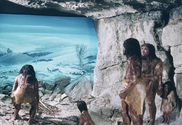 基因 人类20号染色体上，特殊的基因，致死率100%的朊病毒到底是啥？