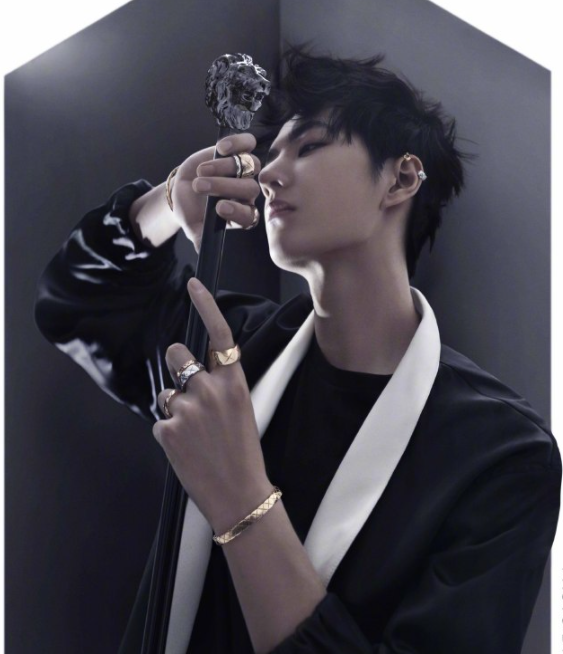 王一博|王一博接受央视采访，亲自透露春晚舞台细节，无滤镜更显神级颜值