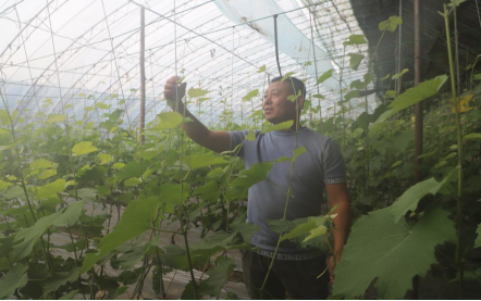 开鲁县融媒体中心 支部引领产业兴——开鲁县黑龙坝村乡村振兴有妙招