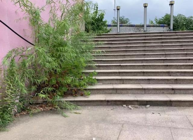 旅行 南京为“迪士尼”梦，耗费10亿打造游乐园，却双双烂尾无人接盘