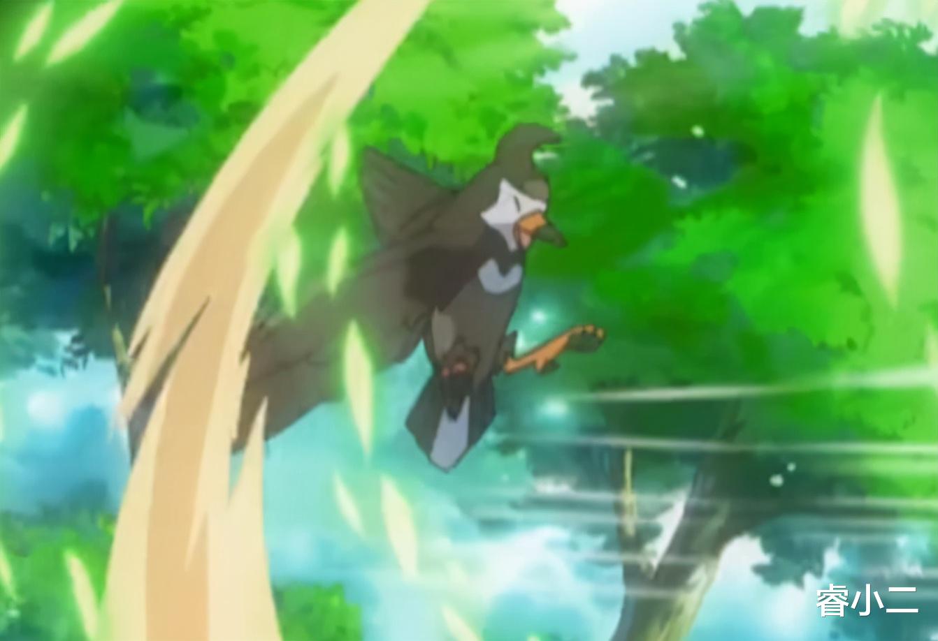 小智|《宝可梦》草系馆主菜种登场,使用一只草苗龟打败了小智!