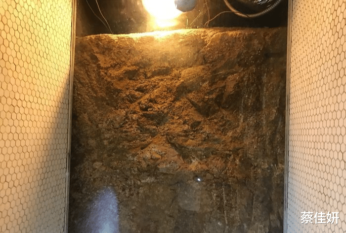 混凝土|危楼高百尺，35张图片提醒我们房屋安全不是儿戏