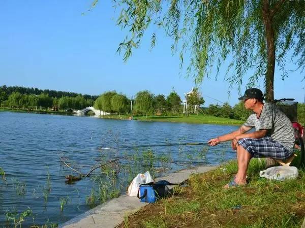 蜂蜜|坐观钓鱼者，徒有羡鱼情