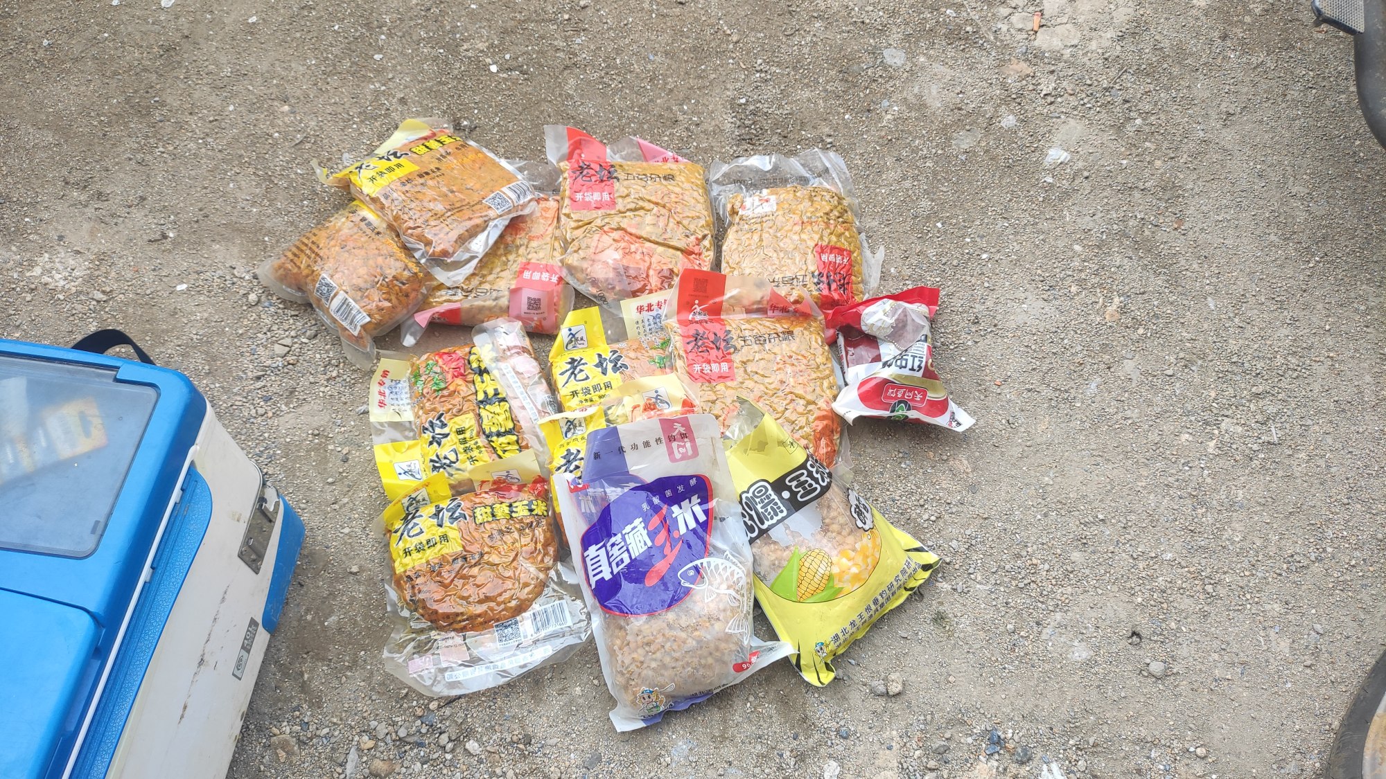 饵料|秋季用玉米钓不到鱼的几种原因，其实都可以避免，只怪自己太懒！