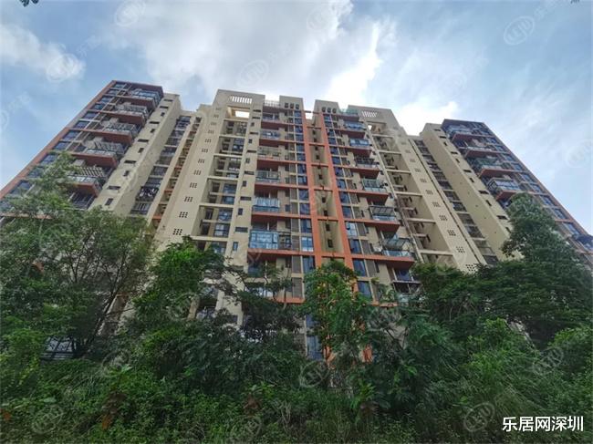购房置业|限价5.9万/㎡！坂田上新2个住宅新盘，有你看中的吗？
